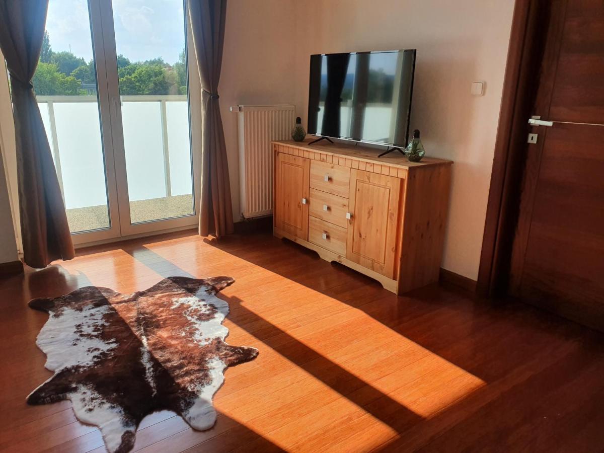 Apartament Apartman S Wellness Karlowe Wary Zewnętrze zdjęcie